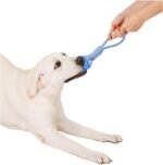 3pcs Interactive Dog Toys, Dog Tug of War Toy Tether Tug for Small and Medium Dogs, Dog Bungee Toy Tree Tugger Dog Toy for Indoor Outdoor, Blue - Image 6
