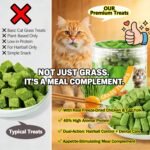 Freeze-Dried Cat Chew Toy 100g - Chicken & Egg Yolk with Cat Grass | Dental Health, Hairball Control, Skin & Coat Care | Natural Lickable Toy for Kittens (Herbe à Chat) - Image 3