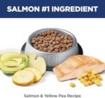 Hill's Science Diet Sensitive Stomach & Skin, Adult 1-6, Stomach & Skin Sensitivity Support, Dry Cat Food, Grain Free Salmon & Yellow Peas, 13 lb Bag - Image 6