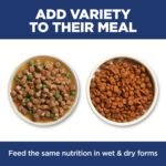 Hill's Science Diet Sensitive Stomach & Skin, Adult 1-6, Stomach & Skin Sensitivity Support, Dry Cat Food, Grain Free Salmon & Yellow Peas, 13 lb Bag - Image 11