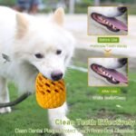 M.C.works Dog Chew Toys, Teeth Cleaning Chewable Stick for Medium Aggressive Chewer, Food Grade Indestructible Dog Toy. - Image 5