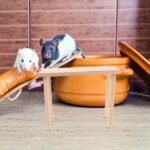 GARVALON Hamster Cage Wooden Platform 12x25cm Small Animal Activity Stand with 18cm Height Pet Resting Toy - Image 6