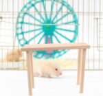GARVALON Hamster Cage Wooden Platform 12x25cm Small Animal Activity Stand with 18cm Height Pet Resting Toy - Image 10