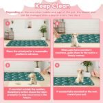 2Pcs Pet Supplies, Cat Flea & Tick Control, Insect Terrarium Accessories, Portable Dog Bathtubs (3) - Image 7