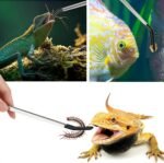 2 Pcs Reptile Feeding Tongs with Rubber Tip,Long Tweezers with Straight Curved Head,Stainless Steel Feeder Tool,for Lizards,Gecko,Snake,Bearded Dragon,Aquarium Terrarium (10.6in) - Image 5