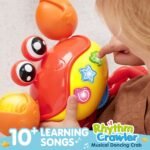 Play-Act Crawling Crab Baby Toy, Interactive Musical Crab with Intelligent Sensor & Auto-Avoiding Obstacles, Tummy Time Toy with Lights and Buttons, Gift for Toddlers Learning to Crawl - Image 4