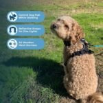 Voyager by Best Pet Supplies -Dual-Attachment No-Pull Adjustable Harness with 3M Reflective Technology, (Black, Small), 211-BK-S - Image 4