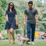 Dog Treats Pouch Pets Walking Bag, Treat Tote Carry Kibble Snacks Toys for Training Reward Walking, Grey - Image 7