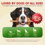 Chewmasters Organic Chicken & Brown Rice Dog Treats, 2 Pound Bag, 100% Organic, Made in The USA, Corn, Soy & Wheat Free, No by-Products, Real Meat Dog Treat - Image 6