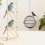 2pcs Black Metal Hanging Suet Feeder Basket with Stainless Steel Food Ball Cage for Outdoor Bird - Image 6