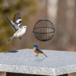 2pcs Black Metal Hanging Suet Feeder Basket with Stainless Steel Food Ball Cage for Outdoor Bird - Image 7