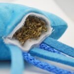 Jellyfish Toy and Seafood Treat Bundle for Cats | High Potency Hand Harvested Fresh Catnip | Soft Plush for Engaging Play | Low Calorie Carefully Crafted Treats - Image 4