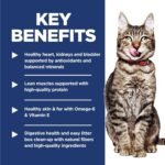 Hill's Science Diet Senior 7+ Indoor Chicken Recipe Dry Cat Food 7.03 kg Bag - Image 6