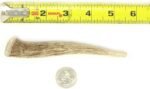Premium Deer Antler Dog Chew Toys (Small) Half-Pint - Image 6