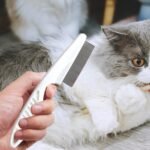 Flea And Tick Comb For Dogs,With Non-slip Handle Dog Brush For Flea - Tick Comb, Cat Grooming Set, Effective Float Hair Remover For Pet - Image 3