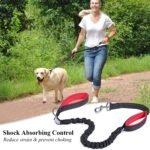 VIVAGLORY Dog Leash Pullsafe Bungee Dog Leash with 2 Padded Handle & Double Handle for Training & Walking, Bungee Anti Pull for Pet That Pull, 4ft x 1in, Black - Image 3