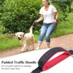 VIVAGLORY Dog Leash Pullsafe Bungee Dog Leash with 2 Padded Handle & Double Handle for Training & Walking, Bungee Anti Pull for Pet That Pull, 4ft x 1in, Black - Image 4