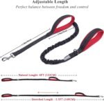 VIVAGLORY Dog Leash Pullsafe Bungee Dog Leash with 2 Padded Handle & Double Handle for Training & Walking, Bungee Anti Pull for Pet That Pull, 4ft x 1in, Black - Image 5