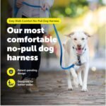 PetSafe Easy Walk Comfort No-Pull Dog Harness Full-Body Padding - Better Walks on The First Use - 5 Points of Adjustment Medium/Large, Black - Image 3