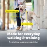 PetSafe Easy Walk Comfort No-Pull Dog Harness Full-Body Padding - Better Walks on The First Use - 5 Points of Adjustment Medium/Large, Black - Image 5