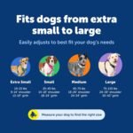 PetSafe Easy Walk Comfort No-Pull Dog Harness Full-Body Padding - Better Walks on The First Use - 5 Points of Adjustment Medium/Large, Black - Image 6