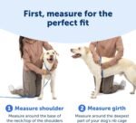 PetSafe Easy Walk Comfort No-Pull Dog Harness Full-Body Padding - Better Walks on The First Use - 5 Points of Adjustment Medium/Large, Black - Image 7