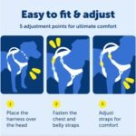 PetSafe Easy Walk Comfort No-Pull Dog Harness Full-Body Padding - Better Walks on The First Use - 5 Points of Adjustment Medium/Large, Black - Image 8