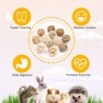 12 PCS Small Animals Activity Toys, Bunny Play Balls Rolling Chew Toys & Gnawing Treats for Rabbits Guinea Pigs Chinchilla Bunny Degus - Pet Cage Entertainment Accessories - Image 4