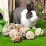 12 PCS Small Animals Activity Toys, Bunny Play Balls Rolling Chew Toys & Gnawing Treats for Rabbits Guinea Pigs Chinchilla Bunny Degus - Pet Cage Entertainment Accessories - Image 6