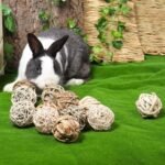 12 PCS Small Animals Activity Toys, Bunny Play Balls Rolling Chew Toys & Gnawing Treats for Rabbits Guinea Pigs Chinchilla Bunny Degus - Pet Cage Entertainment Accessories - Image 8