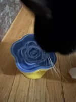 2pcs Ceramics Raised Slow Feeder Cat Bowl, Ceramic Elevated and Titled Glass Food Bowl Small Dogs Slow Feeder, Flower Shaped Cute Cat Dish for Dry and Wet Food (Blue&Orange) - Image 7