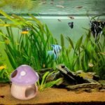 Ceramic Fish Tank Decor, Cute Mushroom House Aquarium Decorations, Betta Tank Accessory Ornament for Small Fish Goldfish Shrimp (Purple) - Image 7