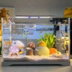 Ceramic Fish Tank Decor, Cute Mushroom House Aquarium Decorations, Betta Tank Accessory Ornament for Small Fish Goldfish Shrimp (Purple) - Image 8