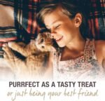 Feline Natural - Grain-Free Freeze Dried Cat Treats - Chicken, 1.76oz - Image 6