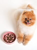 LE TAUCI Ceramic Slow Feeder Dog Bowls Small Breed, 0.6 Cups Dog Food Dish for Fast Eaters, Puzzle Bowl for Small Dogs and Cats,Bloom Pink - Image 8