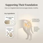 PURICA Pet Recovery Extra Strength, 30 Chewable Tablets, Advanced Mobility Supplement for Dogs & Cats with Glucosamine, MSM, L-lysine & Hyaluronic Acid - Image 6