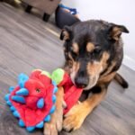 goDog Dinos Frills Squeaky Plush Dog Toy, Chew Guard Technology - Red, Large - Image 8