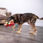 goDog Dinos Frills Squeaky Plush Dog Toy, Chew Guard Technology - Red, Large - Image 9