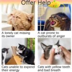 8 Catnip Toys to Captivate Your Cat. Cat Mouse Toy with a Tail for Bad Breath Reduction. JODBOI Teeth-Cleaning Cat Chew Toys, Ideal for Kittens and Their Friends, Cat Toys for Indoor Cats - Image 5