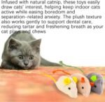 8 Catnip Toys to Captivate Your Cat. Cat Mouse Toy with a Tail for Bad Breath Reduction. JODBOI Teeth-Cleaning Cat Chew Toys, Ideal for Kittens and Their Friends, Cat Toys for Indoor Cats - Image 8