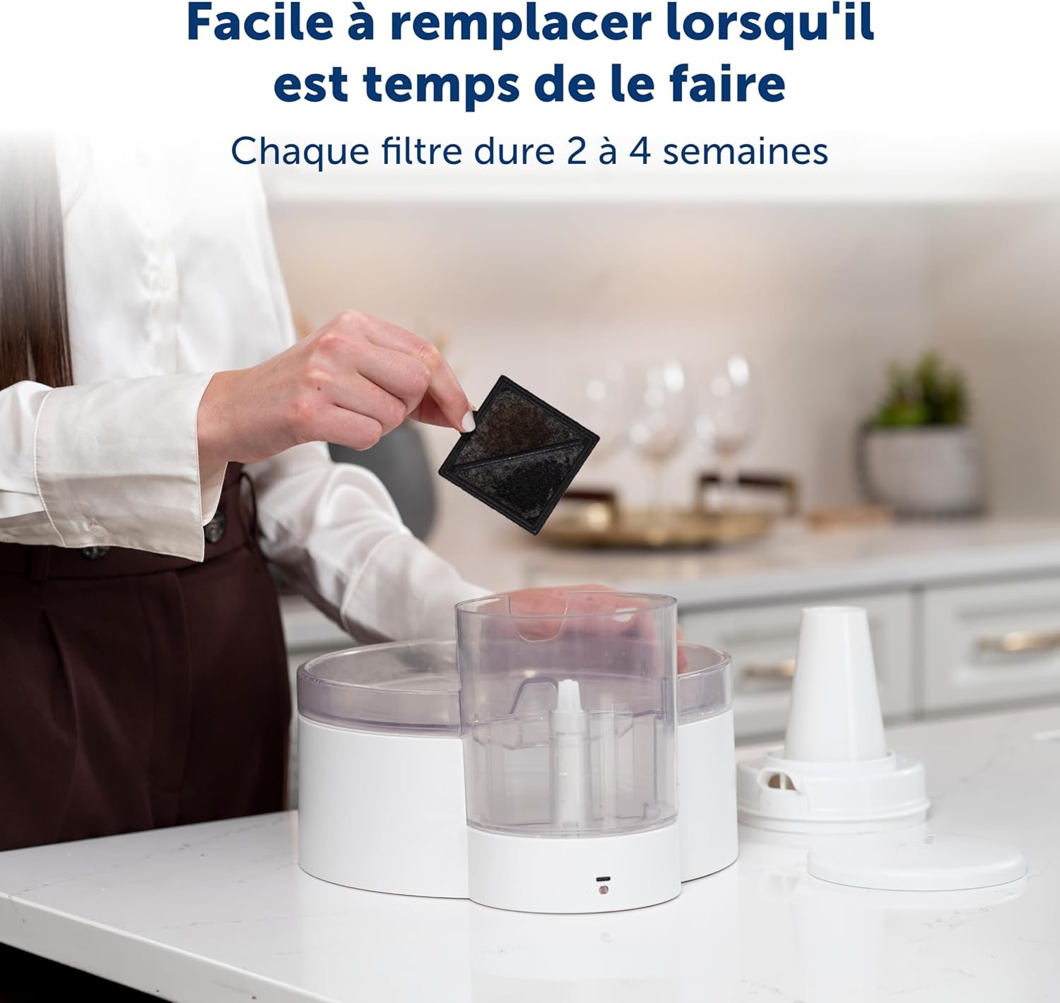 PetSafe Ion-X™ Pet Fountain Filters, 4-Pack, Dual Filtration for Cleaner and Fresher Water, Replacement Water Fountain Filter for PetSafe Outlast and Viva Pet Fountains - Image 5