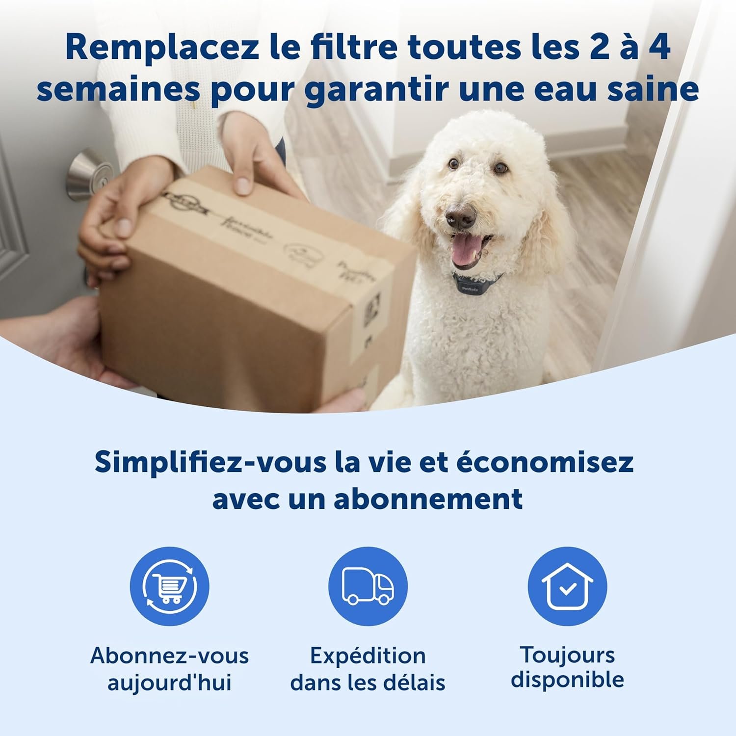 PetSafe Ion-X™ Pet Fountain Filters, 4-Pack, Dual Filtration for Cleaner and Fresher Water, Replacement Water Fountain Filter for PetSafe Outlast and Viva Pet Fountains - Image 6