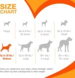 Nylabone Puppy Ring Bone, Wolf - Image 6