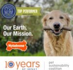 Nylabone Puppy Ring Bone, Wolf - Image 14