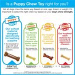 Nylabone Puppy Ring Bone, Wolf - Image 15
