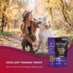 Vitality Dog Lamb with Apple - Premium Baked Dog Treats - Training Treats for Dogs, Pet Treats, Dog Snacks - Made in Canada, Grain Free, Human Grade, 400g / 14.1oz - Image 5