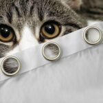 Feelyou Cats Curtains 3D Animals Pattern Window Curtains for Bedroom Living Room for Kids Boys Girls Pet Cat Kitten Decor Window Drapes Brown Grey Window Treatments 38W X 54L,2 Panels - Image 6