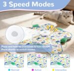 Interactive Cat Toys for Indoor, Electric Automatic Hide and Seek Cats Toy with Sound Effects for Cats Adult Kitten, 2026 New USB Rechargeable Cat Toy (with 5 * Sticks) - Image 5