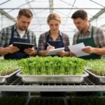 Sprouting Tray, Reusable Cultivation Tool, Stainless Steel Plant Germination Trays, for Hydroponics Transplantation Microplants Indoor Gardening Greenhouse - Image 3