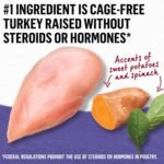 Beyond Wet Cat Food, Cage-Free Turkey, Sweet Potato & Spinach in Gravy - 85 g Can (12 Pack) - Image 5